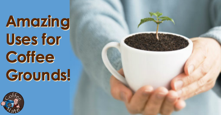 Improve Your Garden With Used Coffee Grounds