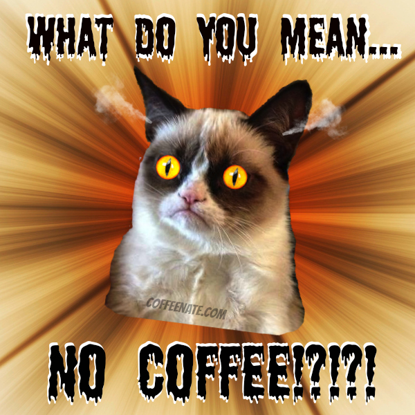 grumpy cat coffee