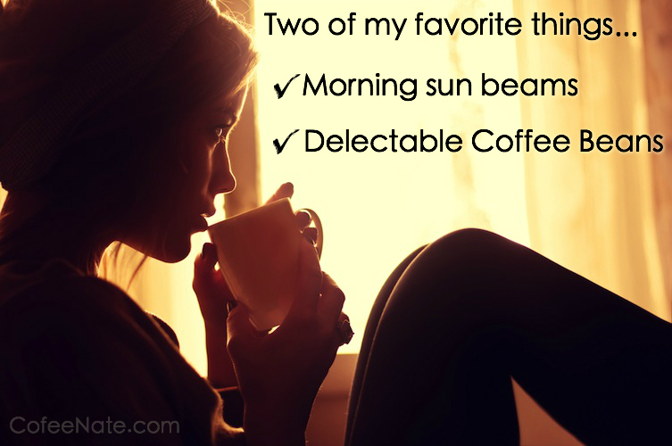 morning coffee beams