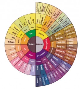 coffee-cupping-flavor-wheel