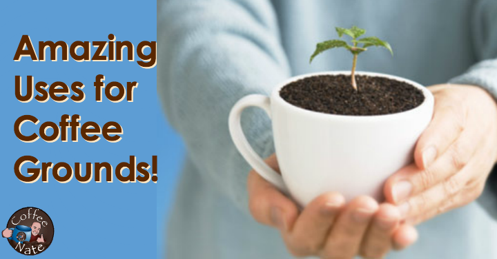 amazing uses for coffee grounds