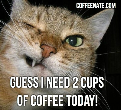 two cups of coffee cat